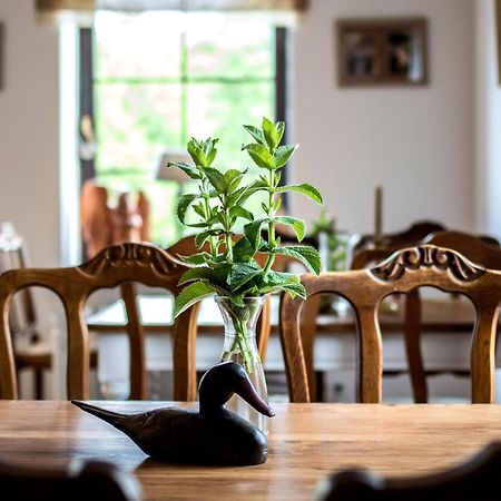 Bed and Breakfast Dom Pod Skrzydlami Gawliki Wielkie Esterno foto