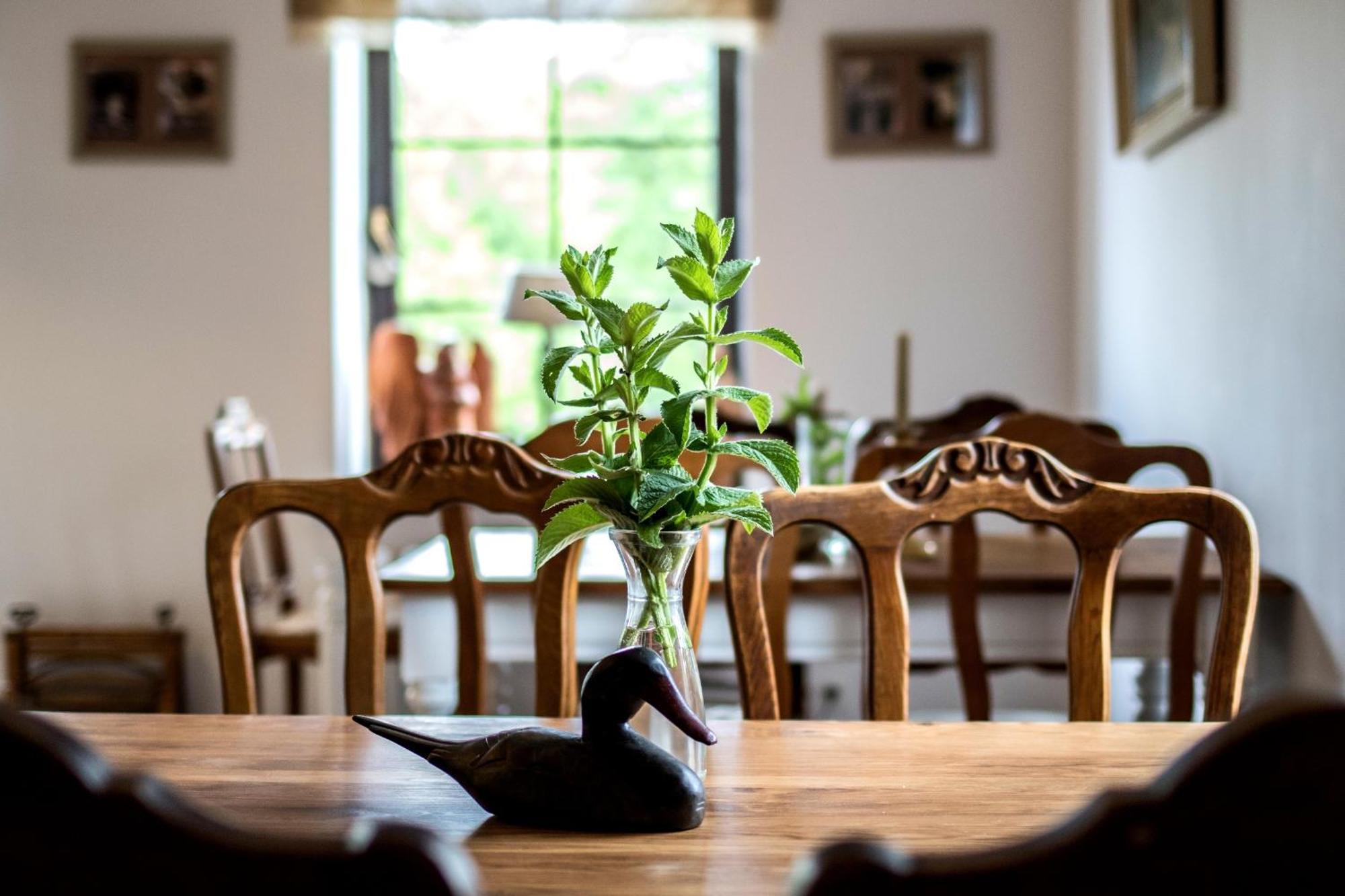 Bed and Breakfast Dom Pod Skrzydlami Gawliki Wielkie Esterno foto